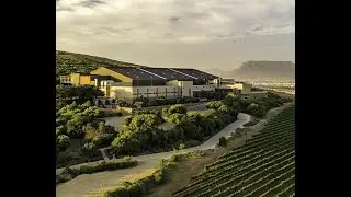 Michael Olivier Talking Wine Durbanville Hills Collector's Reserve Pinotage 2016...