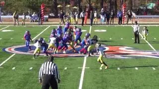 TwinSportsTV: Ben Hill Tigers vs. Cascade Wolverines (9U MAYFL Championship Game)
