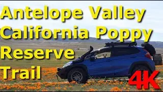 Antelope Valley California Poppy Reserve Trail and Adventure