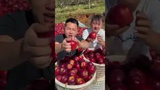 Unique Chinese Fruits You&rsquo;ll Love to Taste