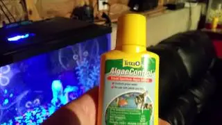 10 Gallon Glofish Aquarium: Beginner Essentials