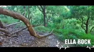 Environmental Awareness In Sri Lanka