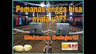 Bisa Engga Setting Heater Otomatis dan Manual ??? (L.B White Guardian)