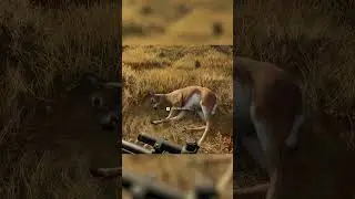 That Shot Was INSANE 😭 - The Hunter: Call of the WIld #thehunter #hunting #cotw