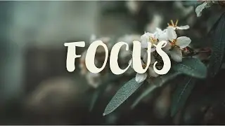 Renaissance Perfumer's Garden | Guided Meditation | Time Travel Series