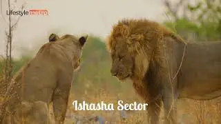 60 Best Places to Visit in Uganda - Travel Video and Guide