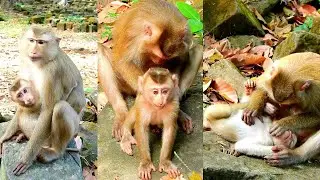 Adorable Lumi baby requests milk and food very funny and friendly.