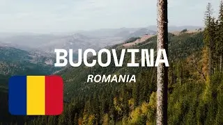 Land of Painted Monasteries and Natural Beauty-Bucovina Romania Travel Guide and Things to do