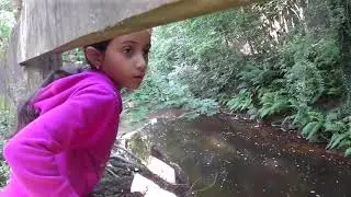 Lilypops adventure ep 1   HD 720p