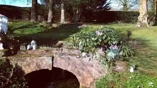 Fairy bridge shoot