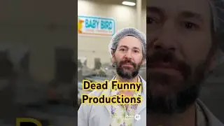 Baby Bird Food #funny #comedyshorts #deadfunny