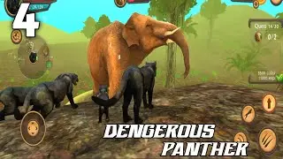 Dangerous Panther Group Attack Elephant In Night Panther Simulator 3D Android Game | Gameplay 4