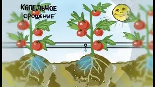 Ролик UzWaterAware №3. 