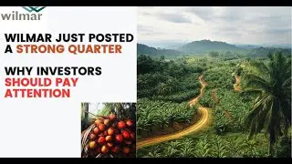 Wilmar Just Posted a Strong Quarter Why Investors Should Pay Attention
