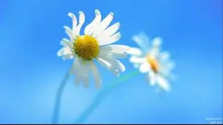 30/1/22 || SUNDAY ENGLISH SERVICE LIVE FROM THE POWER CATHEDRAL