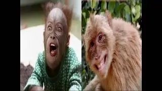 Johnny Paycheck - Don't Monkey With Another Monkey's Monkey