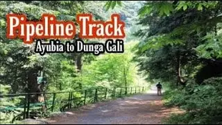 Pipeline Track Ayubia to Dunga Gali | Moto Tunnel | Ayubia National Park | Galiyat