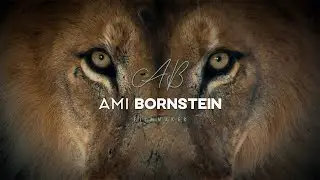 Filmmaker Showreel - Ami Bornstein 2025