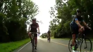 Baby Squirrel Into My Spokes