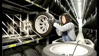 IREGA Best-of Produktinformation