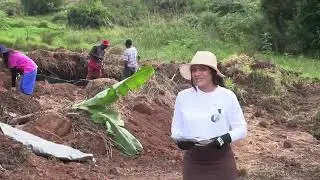 The Ellen White Planting Method_ The Blueprint In Planting Fruit Trees - School Of Agriculture