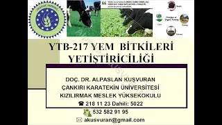 YTB-217 YEM BİTKİLERİ YETİŞTİRİCİLİĞİ DERSİ FİĞLER-28.04.2020