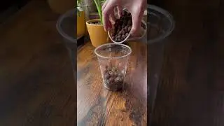 This is way easier than the boiling water method 😅🌿