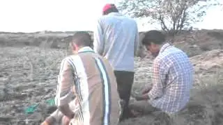 S P G funny videos 6