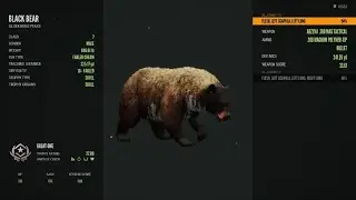 7 Day GRIND And I Found The GREAT ONE!!! Black Bear FABLED CREAM 846.61 lb #canyouseemenow 