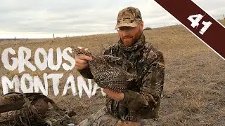 SHOTKAM SHARPTAILS - Охота на тетерева в Монтане с использованием дробовика.