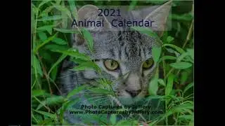 2021 Wall Calendars
