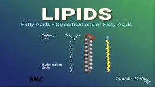 BMC General Chemistry chapter 6.2 Lipids 161 - 162  كلية البترجي الطبية