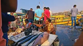 Vizag biggest fishing harbour sunday morning live market 08/02/2026