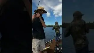 Smallmouth Bass Pounders! #maine #bassfishing #smallmouth #fishing