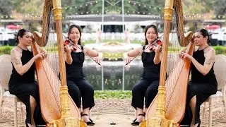 Invisible String By Taylor Swift (cover) Wedding At Monserate Winery, Fallbrook