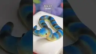 Making marine animals for 30 days ✨ drop your favorite sea creature in the comments 💛