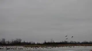 Killdeer Plains Wildlife Area