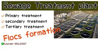 Sewage treatment || Microbes in human welfare class 12 || Kulwinder BIOLOGIST