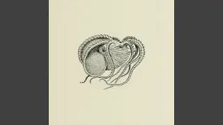 Statocyst