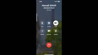 Hawaii DHS SNAP How to Prepare for Your Phone Interview Complete Guide