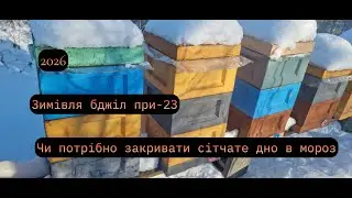 Зимівля бджіл при -23/Чи потрібно закривати сітчасте дно в мороз?