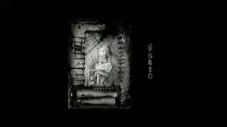 Ybrid - Scorpinaca