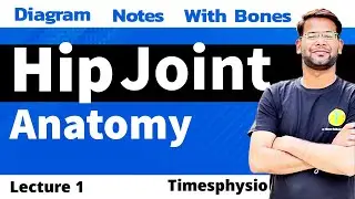 Hip Joint Anatomy - Lecture 1 I Physiotherapy ( MBBS / BPT / MPT) I By DR. Vibhore Bakliwal Sir