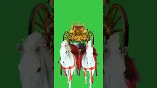 Green screen horse #horse #equestrian #animation #horselover #greennscreeneffects #chromakey