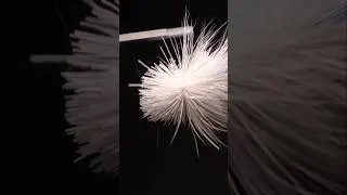 How To Spin and Stack Deer Hair Flies. #flytying