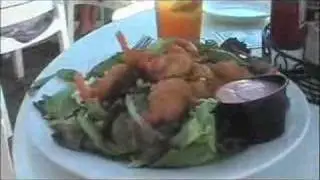 Florida Anna Maria Island Sandbar Restaurant travel tips