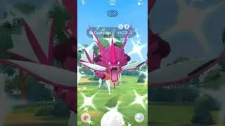 When I got Raid Day Shiny mega Shrimp 🦐 in Pokemon GO.
