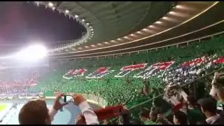 *JP* SK Rapid gegen Shaktar Donezk CL Play Off Happel Stadion Wien 19.8.2015