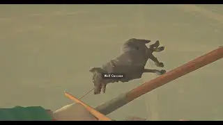 The Long Dark - how to kill wolves (the easy way!)