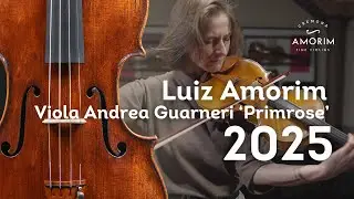 Viola by Luiz Amorim, copy of Andrea Guarneri &lsquo;Primrose&rsquo;, 1697 | Annika Starc | Fine Violas